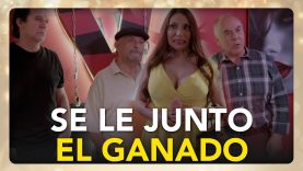 Hugo, Paco y Luis descubren que están saliendo con la misma chica