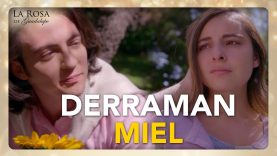 Oriana aceptará el matrimonio