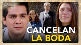 Amanda tiene una enfermedad y sus suegros han cancelado la boda
