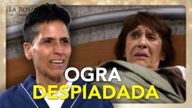 Gelasia y Rosendo celebran su 50 aniversario de bodas, pero sucede algo inesperado 04