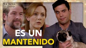 La nueva vida de Axel