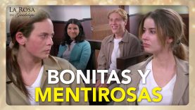 Los planes de Azucena y Hortensia 05