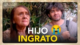 Luis se arepiente de haber maltratado a su pobre madre 01 02 03