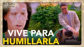 Mayra está harta de las humillaciones de su marido y quiere el divorcio