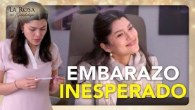 Andrea es una ingeniera exitosa pero queda embarazada en el momento equivocado