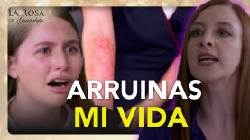 Andy quiere celebrar su cumpleaños número 15 con entusiasmo, pero sus padres se están divorciando 05 06 07