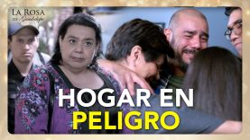 El destino de mi familia