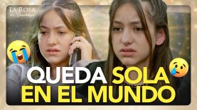 Norma la nueva prima