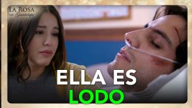 El camino del amor 9 10 11 12